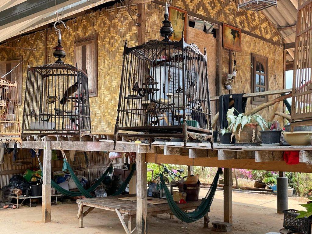 Bird cages locals tradition of Koh Yao Yai Thailand