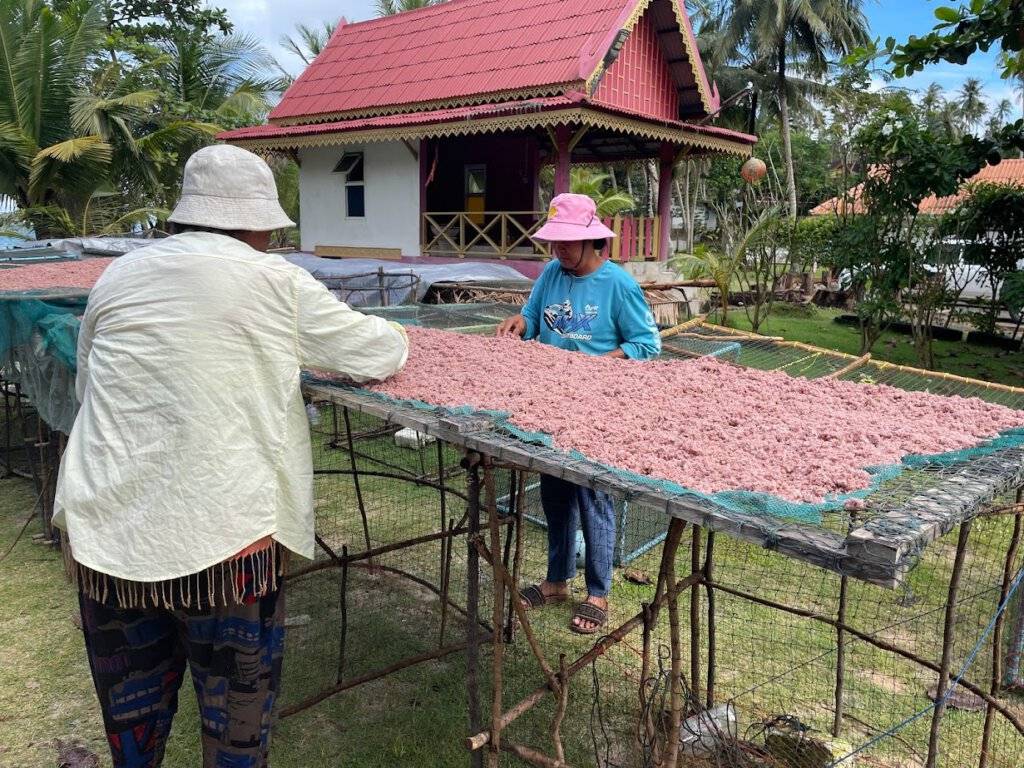 Fish drying in the sun in a fishermen's village on Koh Yao Yai