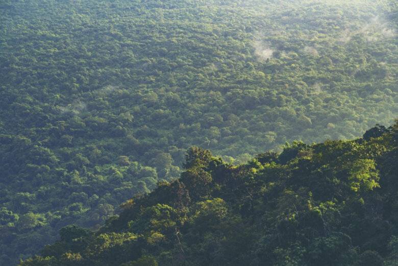 landscape view of Khao Yai tropical forest in Thailand,