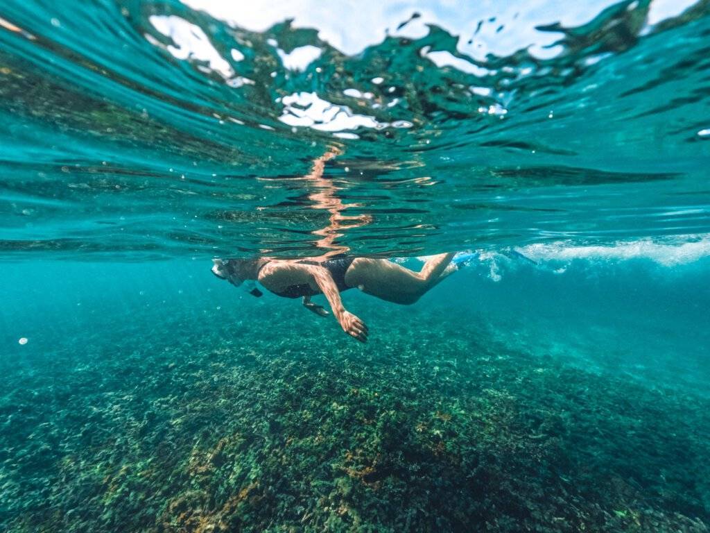 Snorkelling in the clear water of the Andaman Sea, a boat trip from Koh Yao Yai