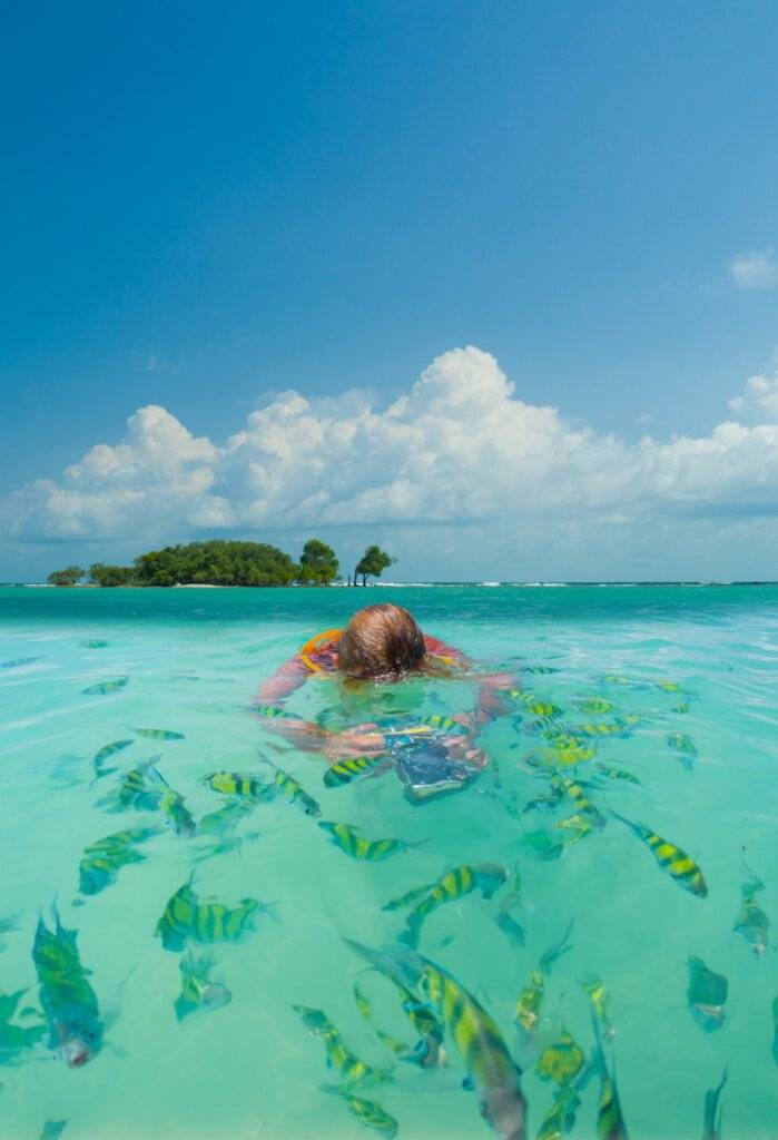Snorkelling in the Andaman Sea near Phi Phi