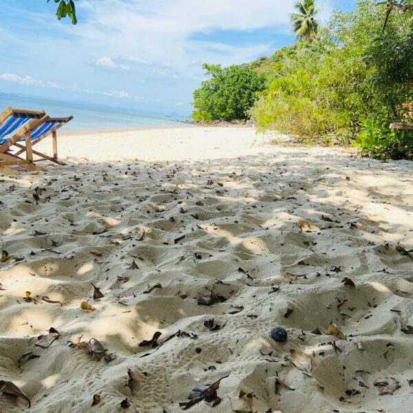 wo sun loungers under a tree on an empty beach in Koh Yao Yai, Thailand.